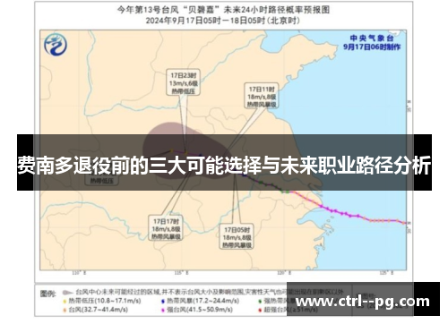 费南多退役前的三大可能选择与未来职业路径分析