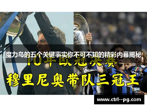 魔力鸟的五个关键事实你不可不知的精彩内幕揭秘